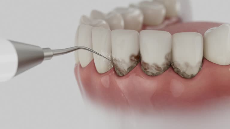 Reliable Dental contractor in Chesaning, MI by Dentist Open Now